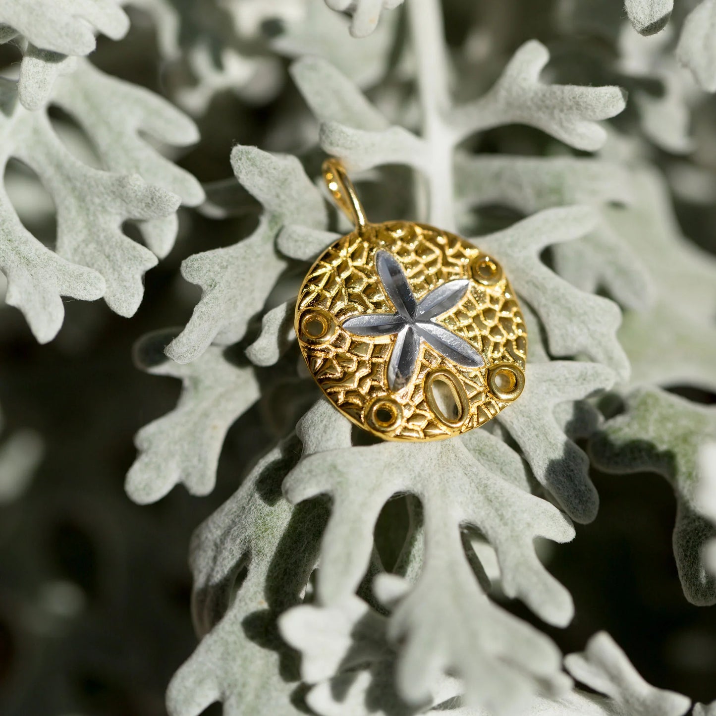 14K Gold Plated Sand Dollar Pendant - Enchanting and Elegant Jewelry Piece!