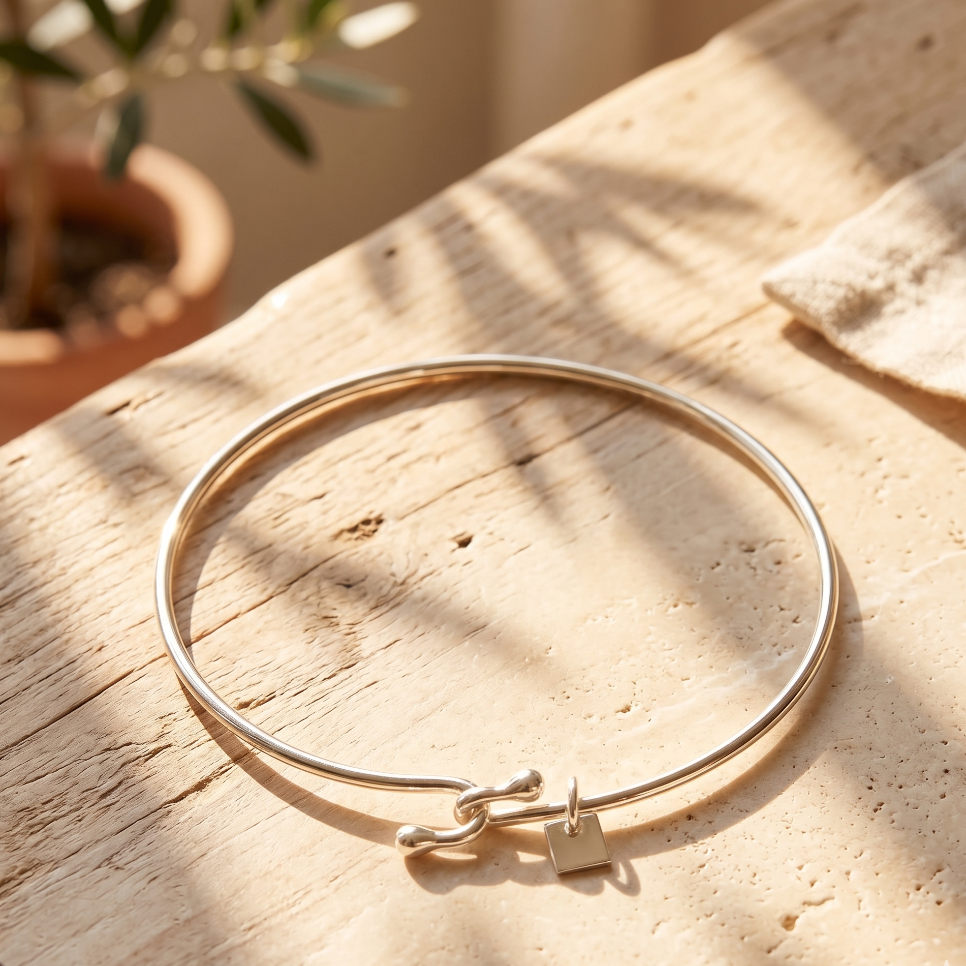 Silver bracelet on a wooden surface with a plant in the background